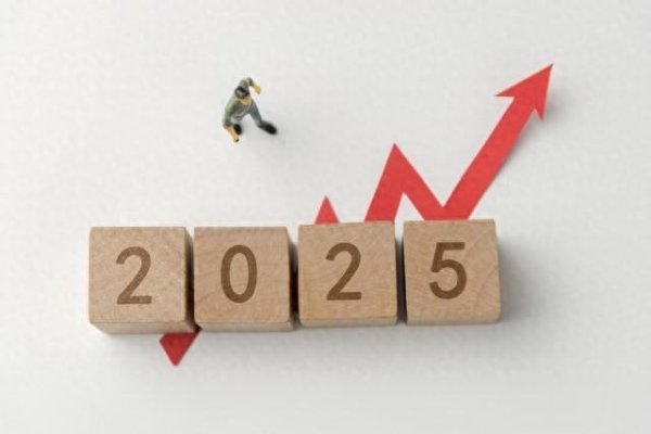 网上配资_配资炒股 国际媒体与智库评价中国锂提纯技术断崖式的领先态势